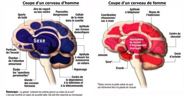 Humour 17